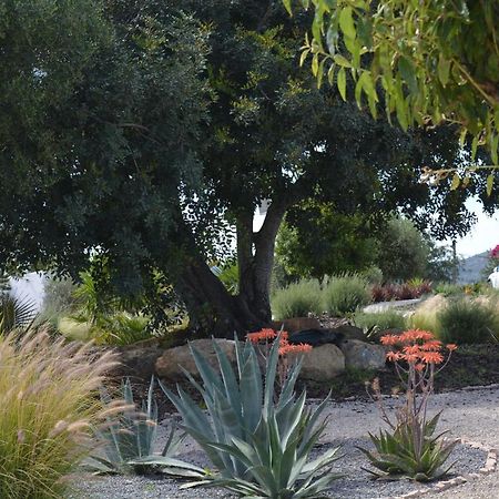 Quinta Luz Do Sol Bed and Breakfast Moncarapacho Εξωτερικό φωτογραφία