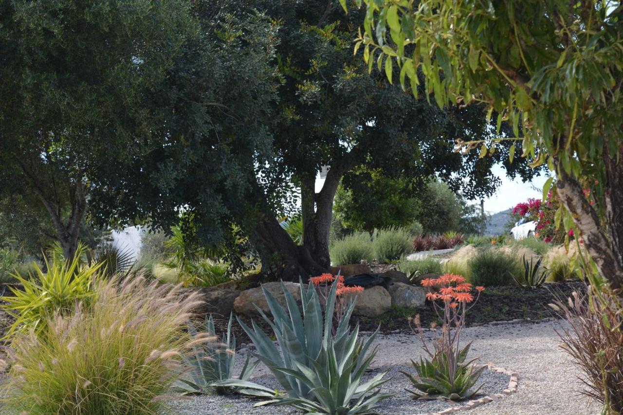 Quinta Luz Do Sol Bed and Breakfast Moncarapacho Εξωτερικό φωτογραφία